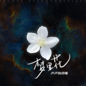 黄男同瑟瑟视频
